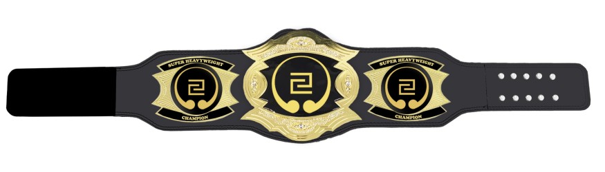PROGEM GOLD CHAMPIONSHIP BELT - PROGEM/G/CUSTOM ***BEST SELLER***